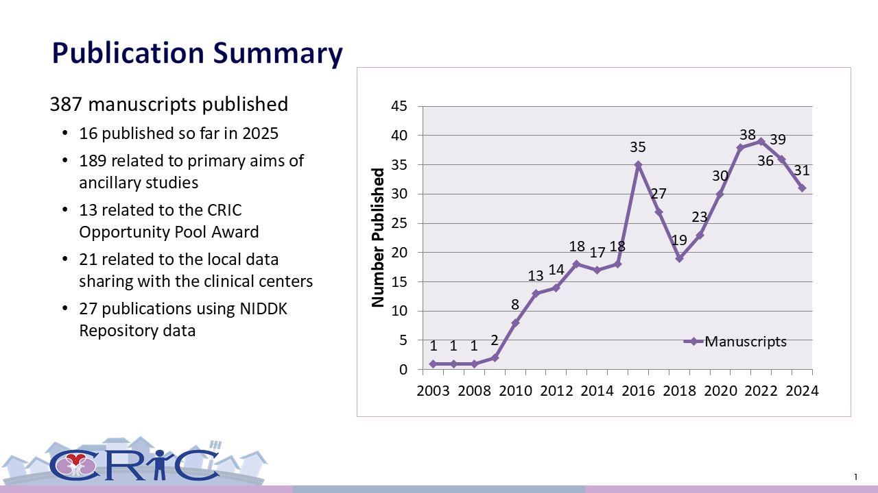 publications summary by year