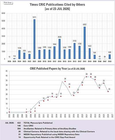 publications summary by year